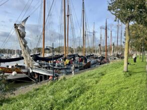 Wind gooit programma Bontekoerace in Hoorn om