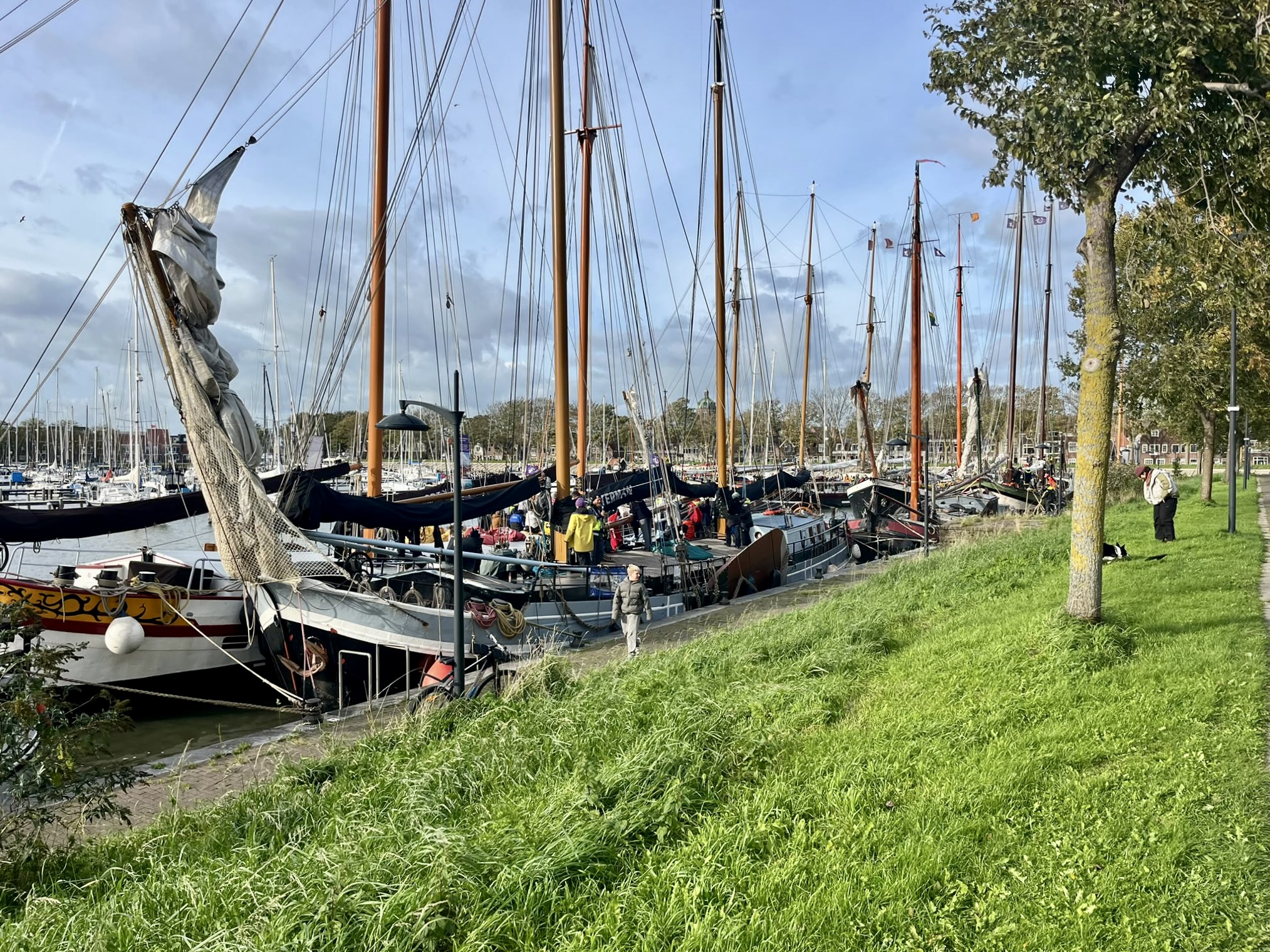 Wind gooit programma Bontekoerace in Hoorn om